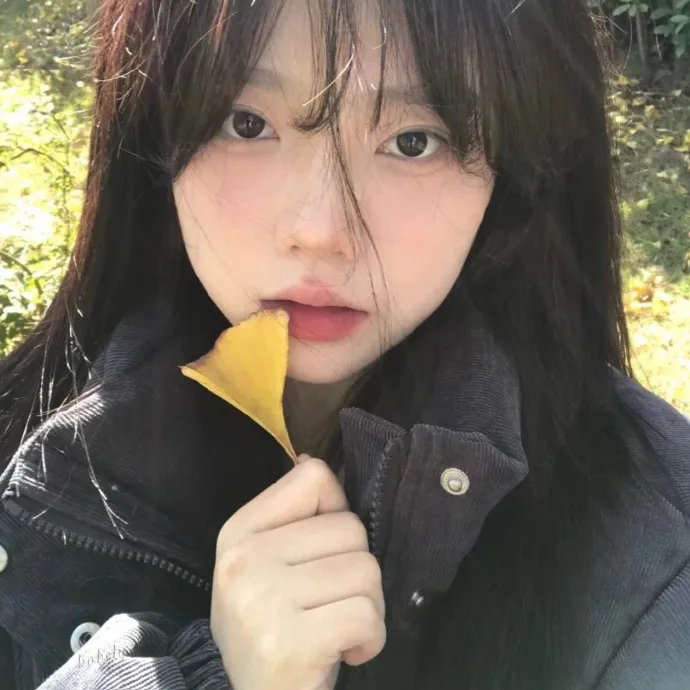 大家族粤语