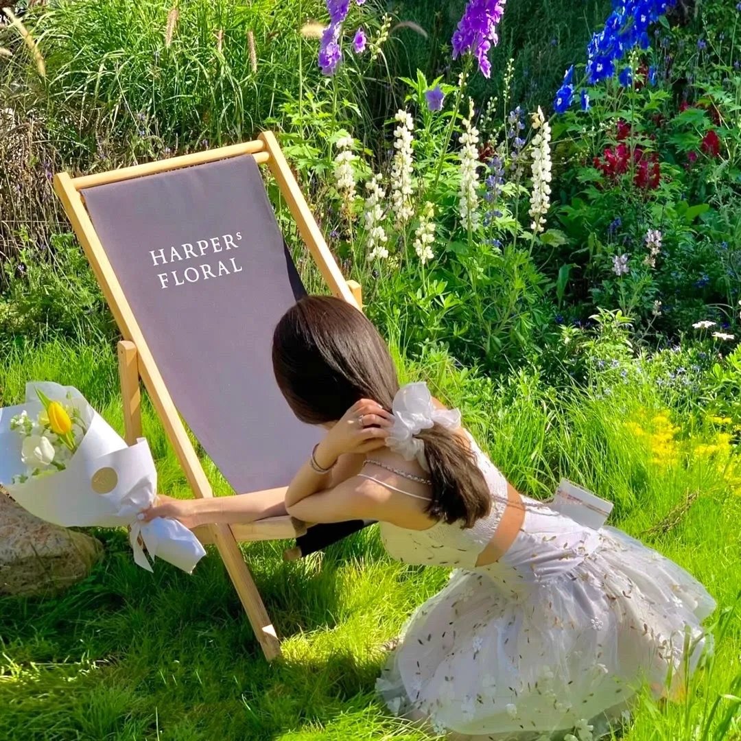 离婚后我桃花运爆棚